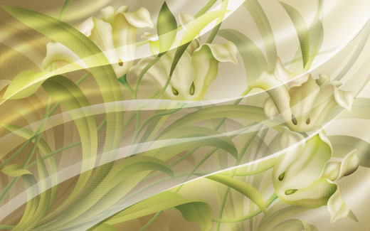 447911 (a): :1920x1200